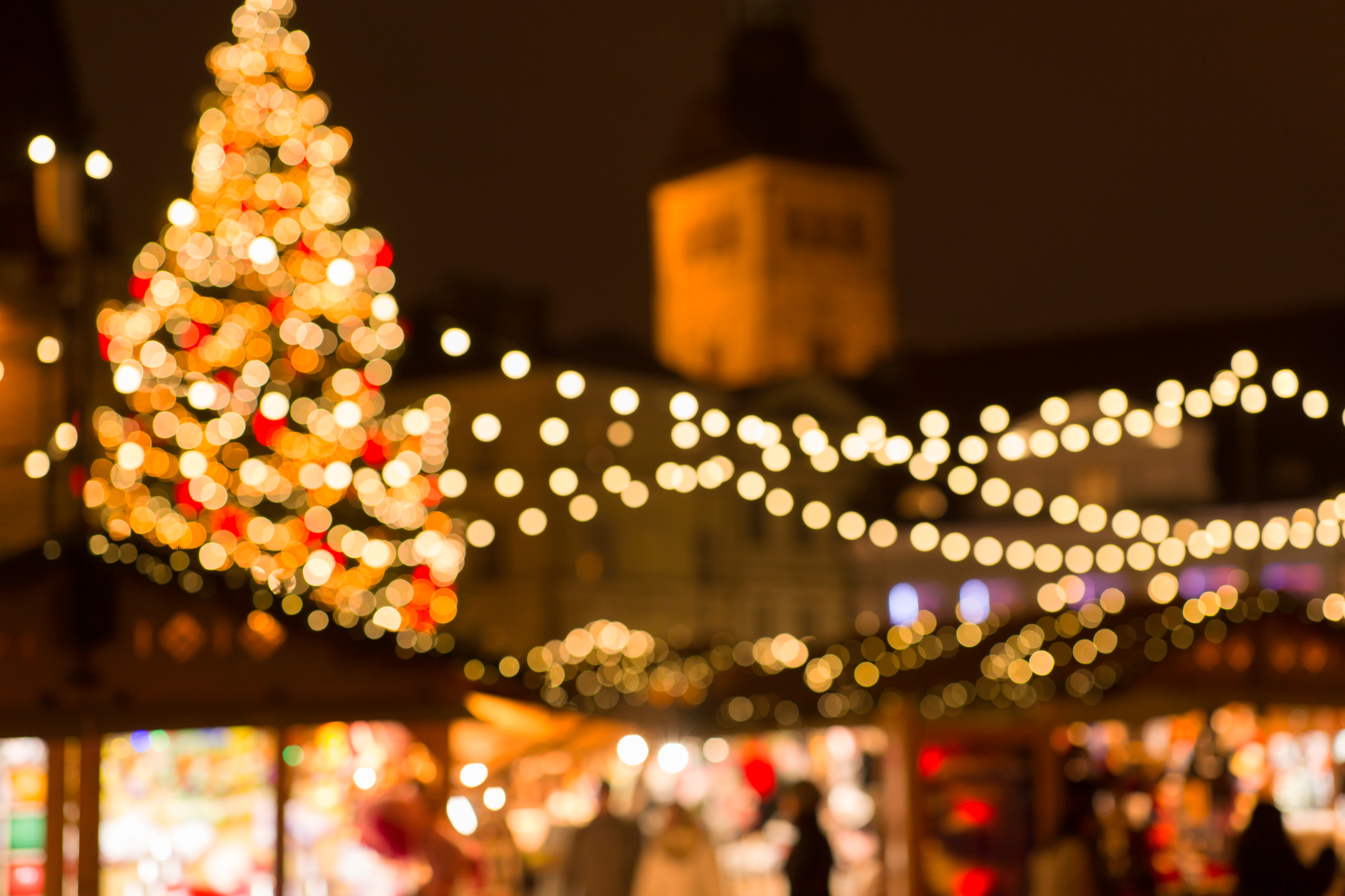 alberi-di-natale-bologna